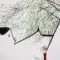 Hong Lay